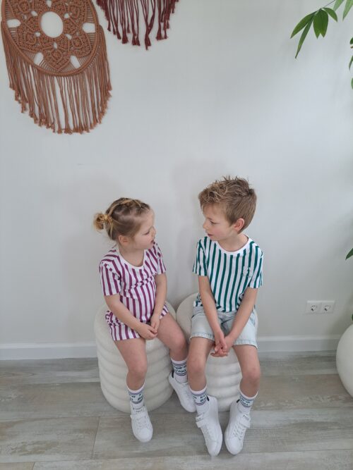 iBY Stripes paars t-shirt jongens